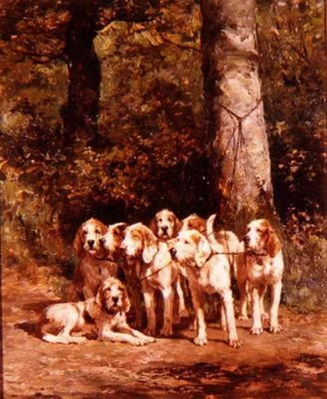 Cani da corsa in un paesaggio